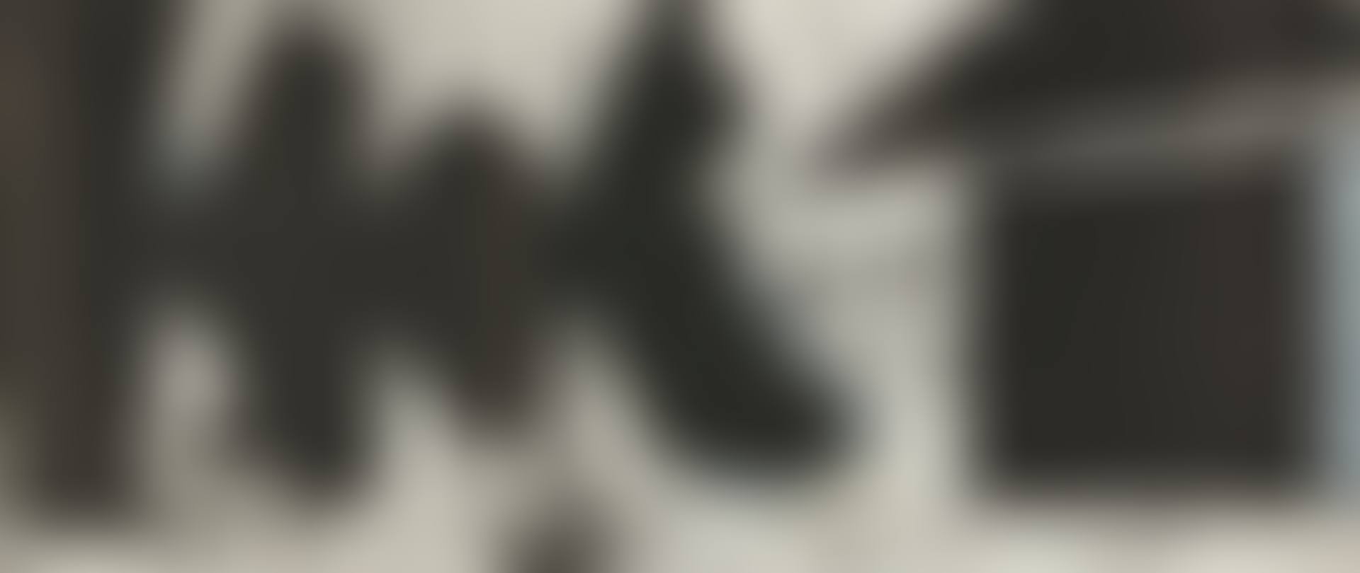 EL NEGRO (W.A.C. 308.1-.21) (preview)