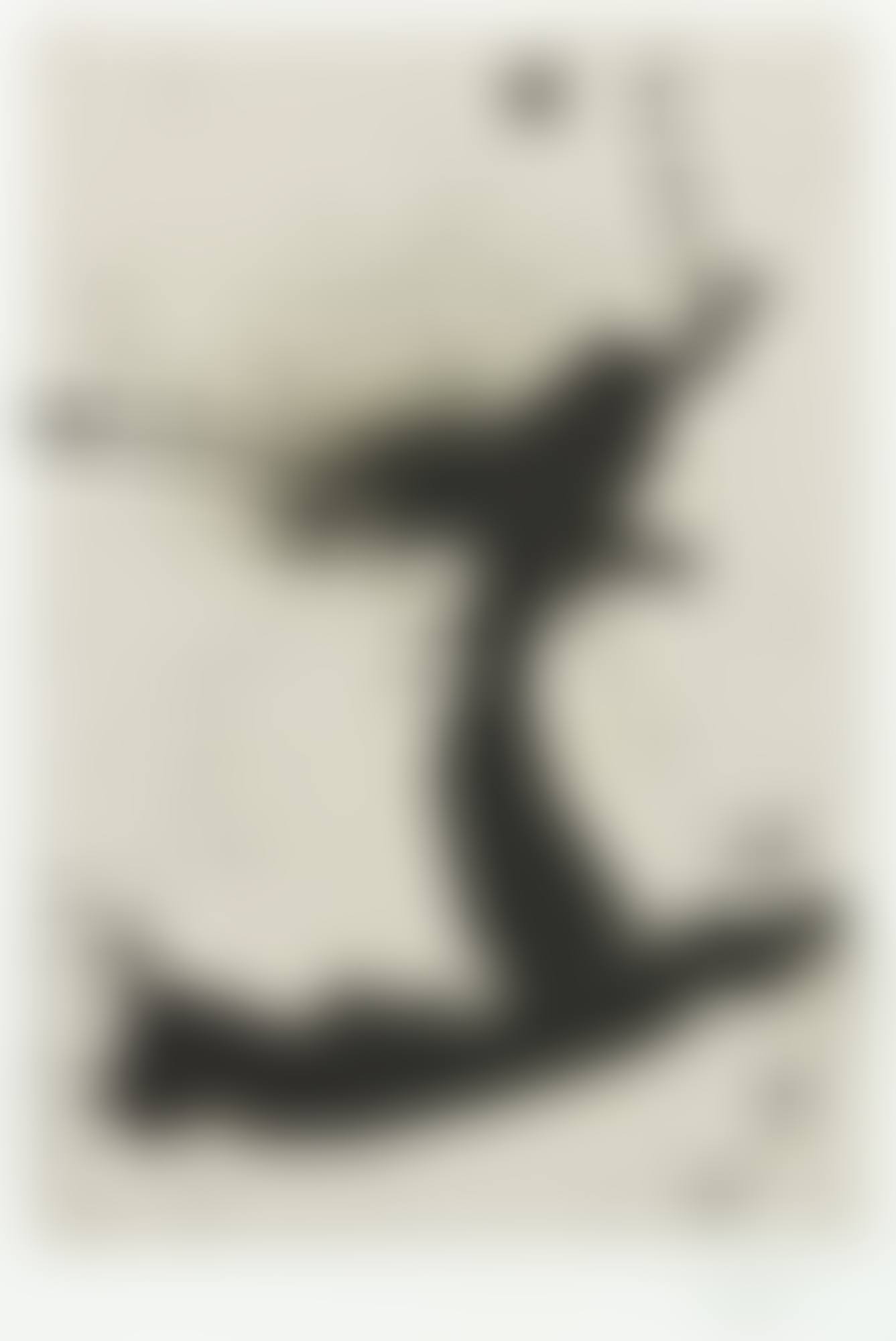 UNTITLED (W.A.C. 52 & 53)  (preview)