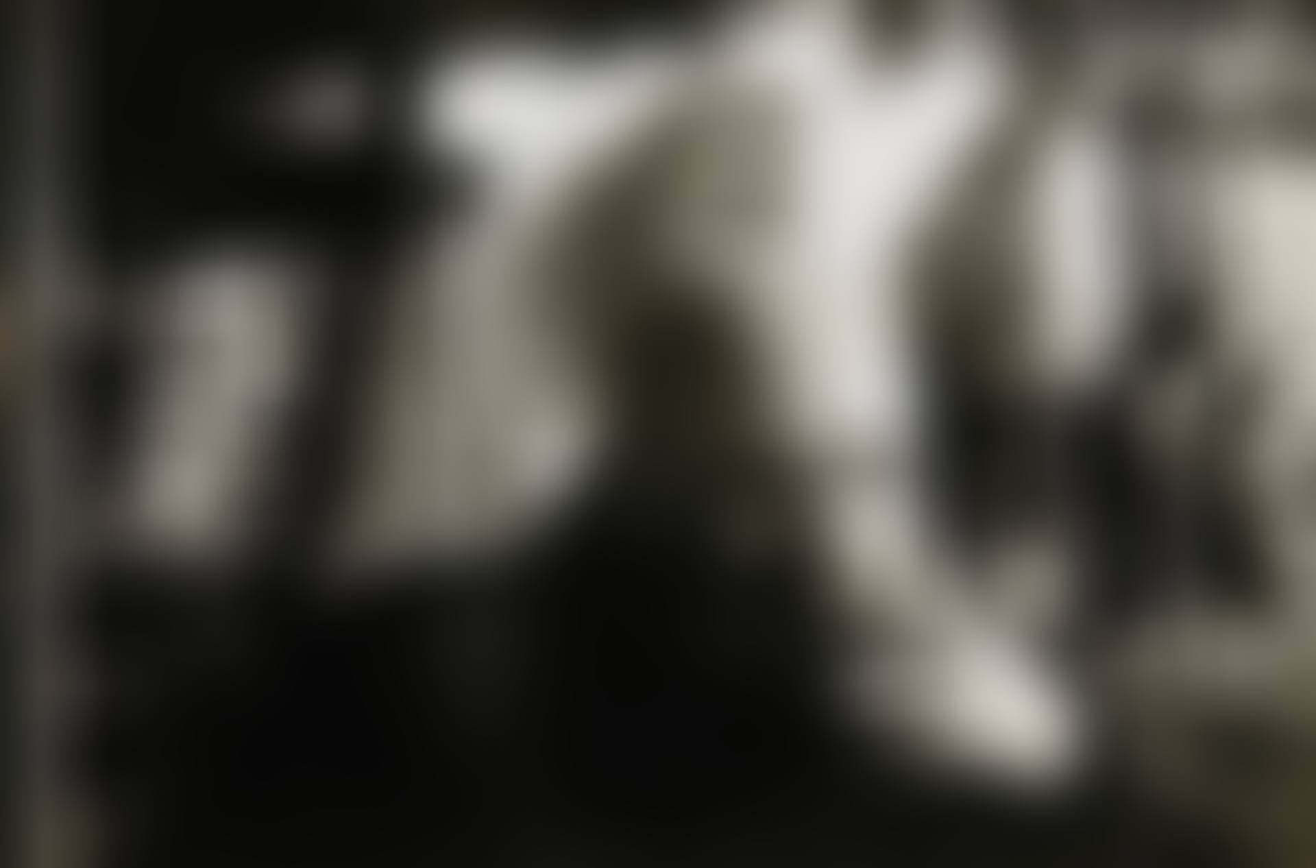 JEAN GENET, PARIS (preview)