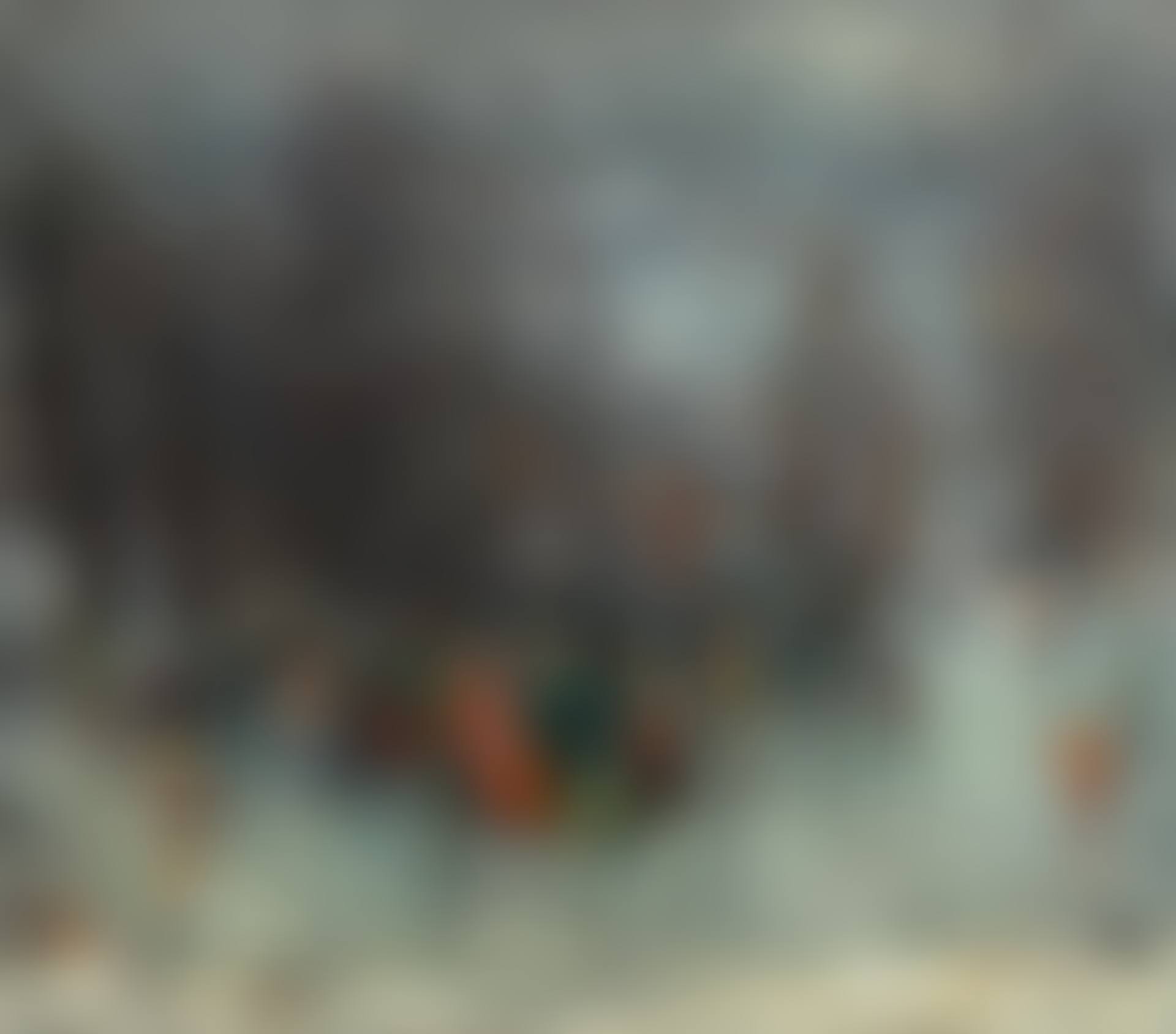 THE SKATERS (preview)