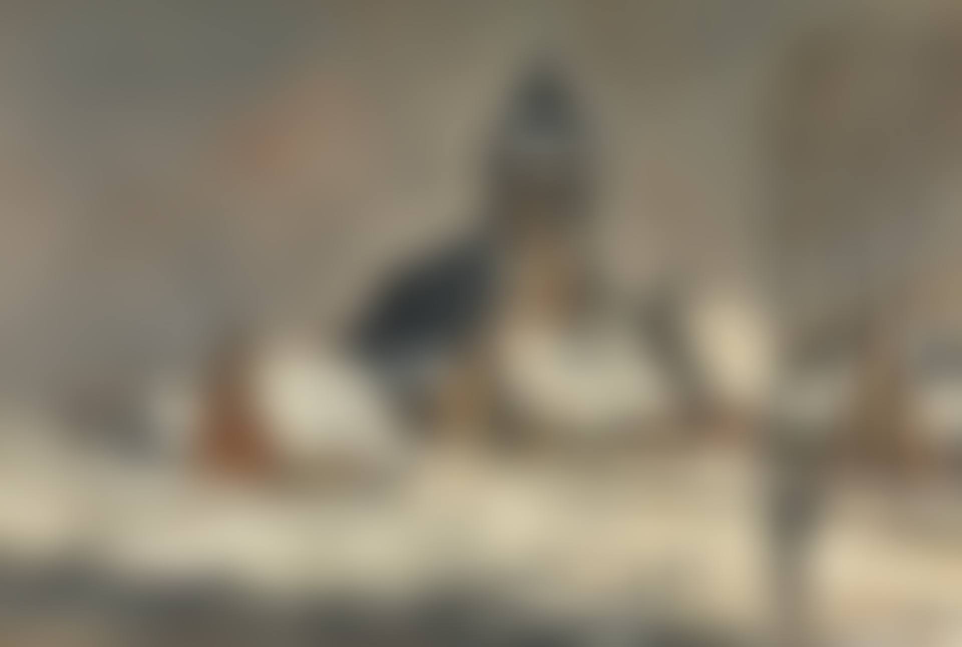 WINTER (preview)