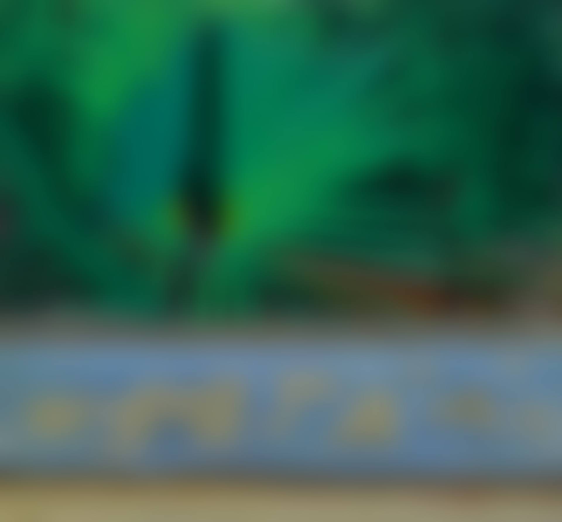 GREEN PALMS (preview)