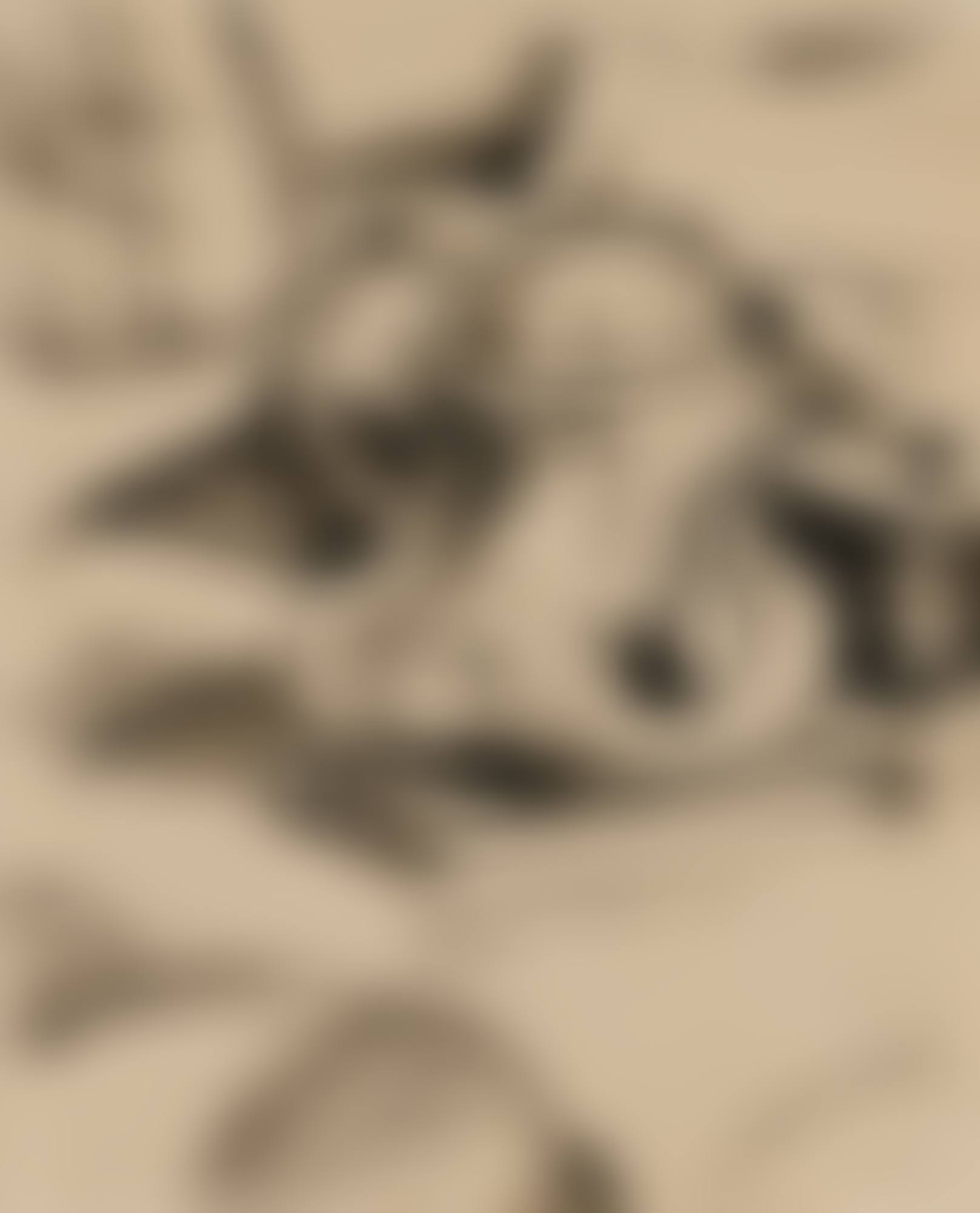 TEAPOT (preview)