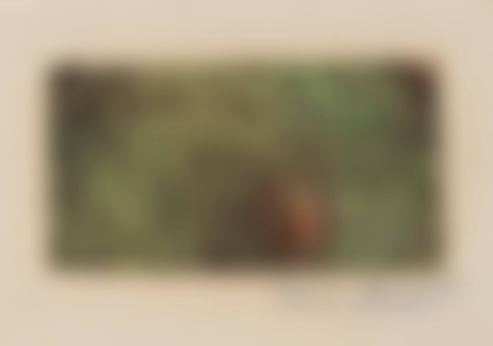 PAYSAGE IMMACULÉ (preview)