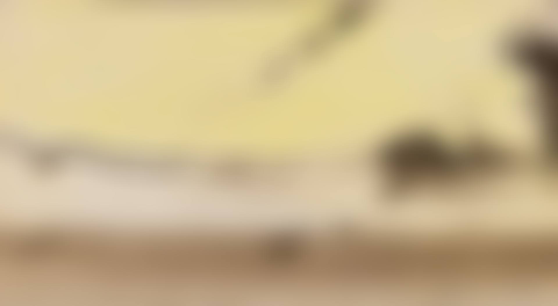 PAYSAGE (preview)