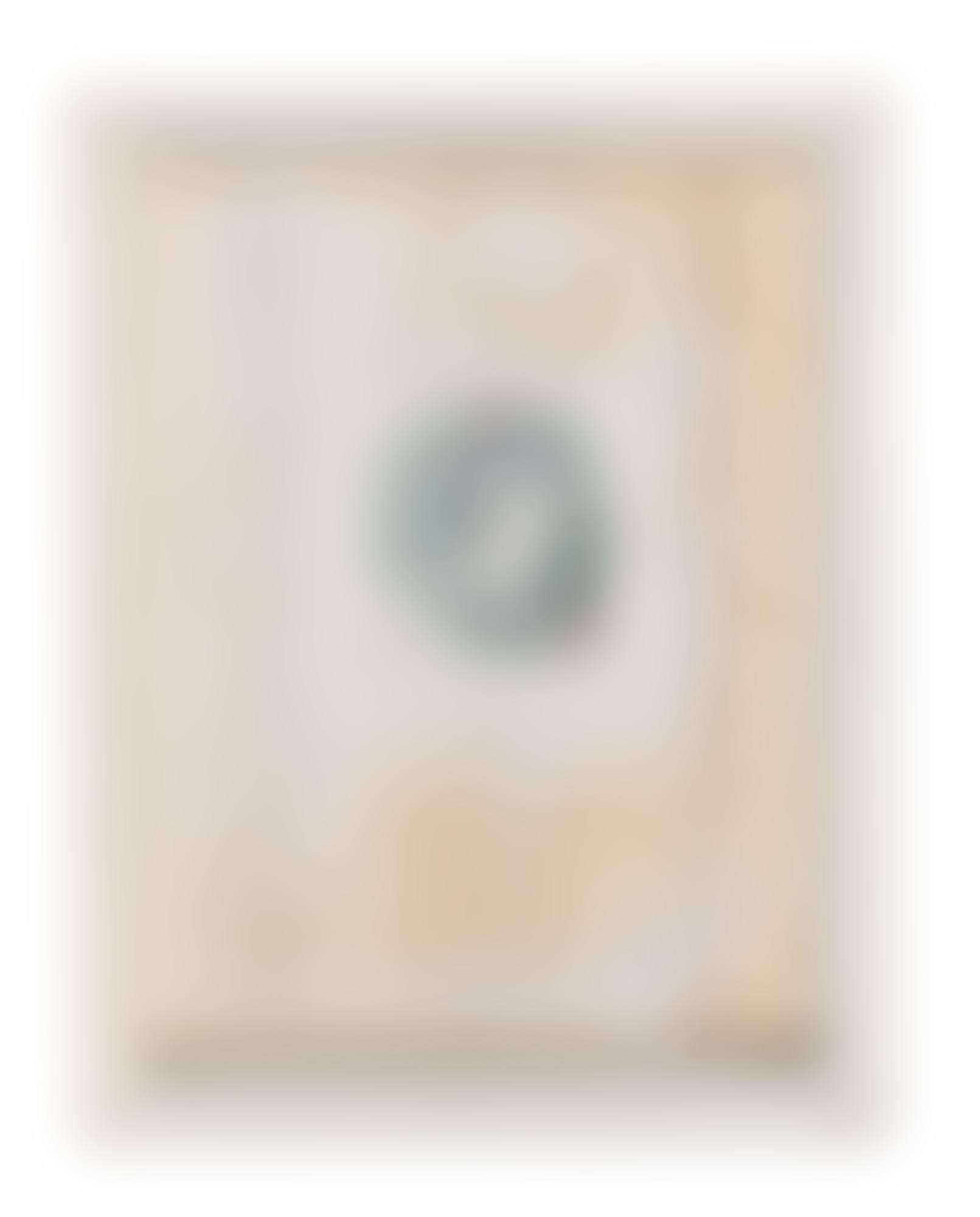 TIME TRANSFIXED (preview)