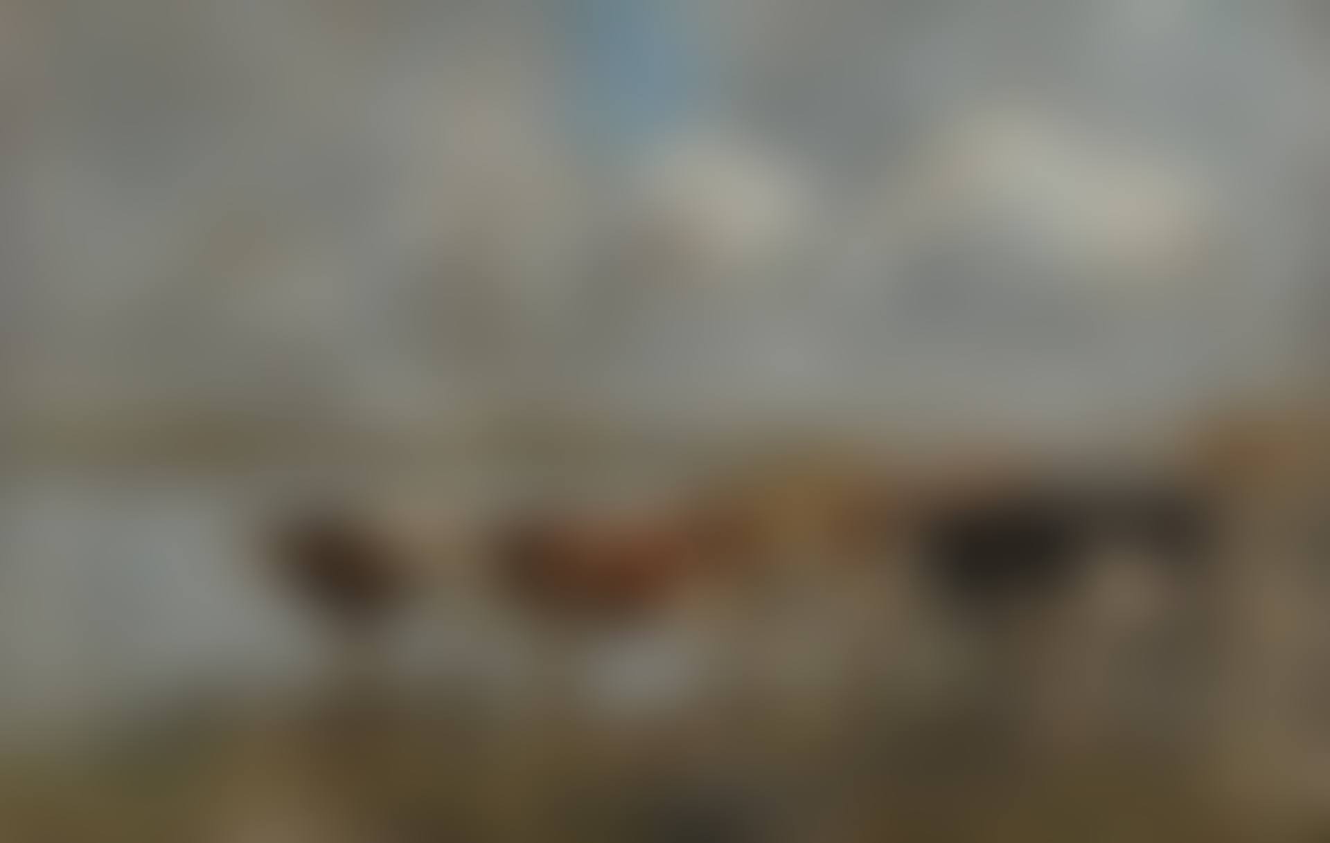 PAYSAGE AU BORD DE LA TOUQUES (preview)
