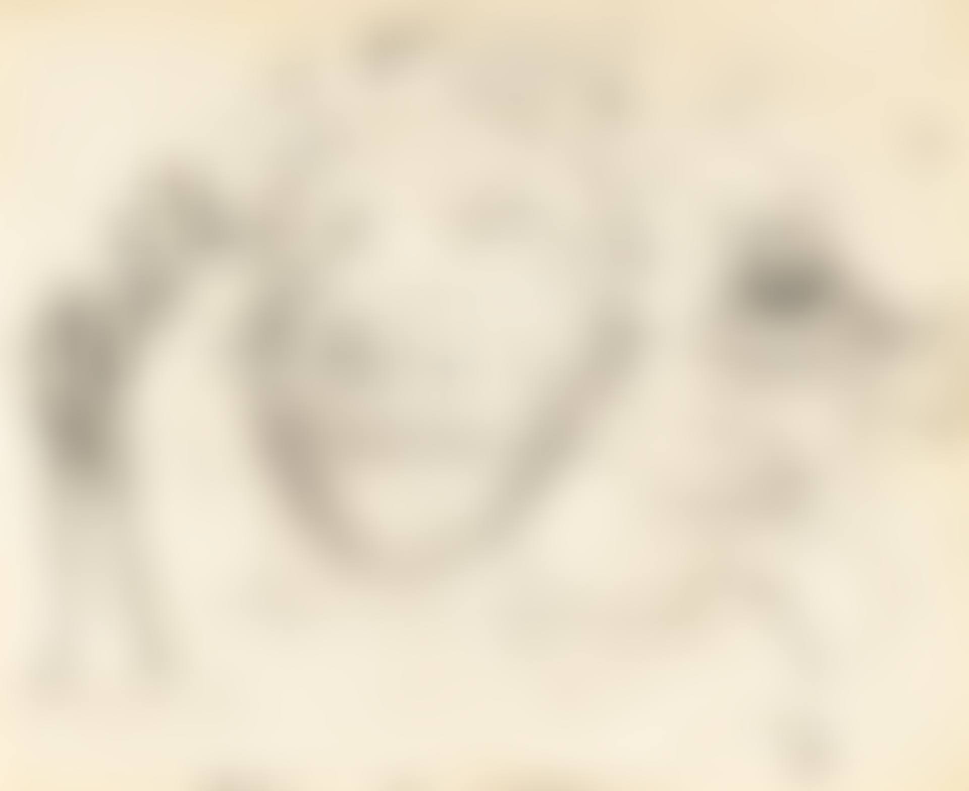 ETUDE POUR LE TABLEAU VITESSE MAXIMALE DE LA VIERGE DE RAPHAËL (1954) ET DEUX PERSONNAGES - RECTO ETUDE POUR LE TABLEAU GALATÉE EN FORMATION (VERS 1954) - VERSO (preview)