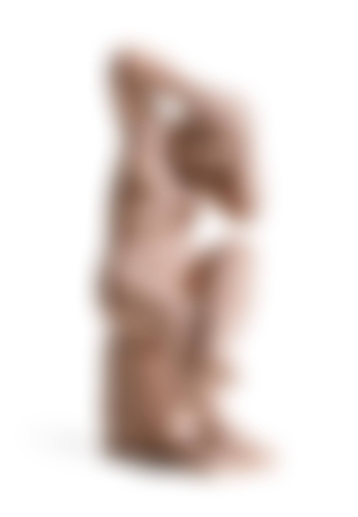 FEMME ASSISE SE COIFFANT (preview)