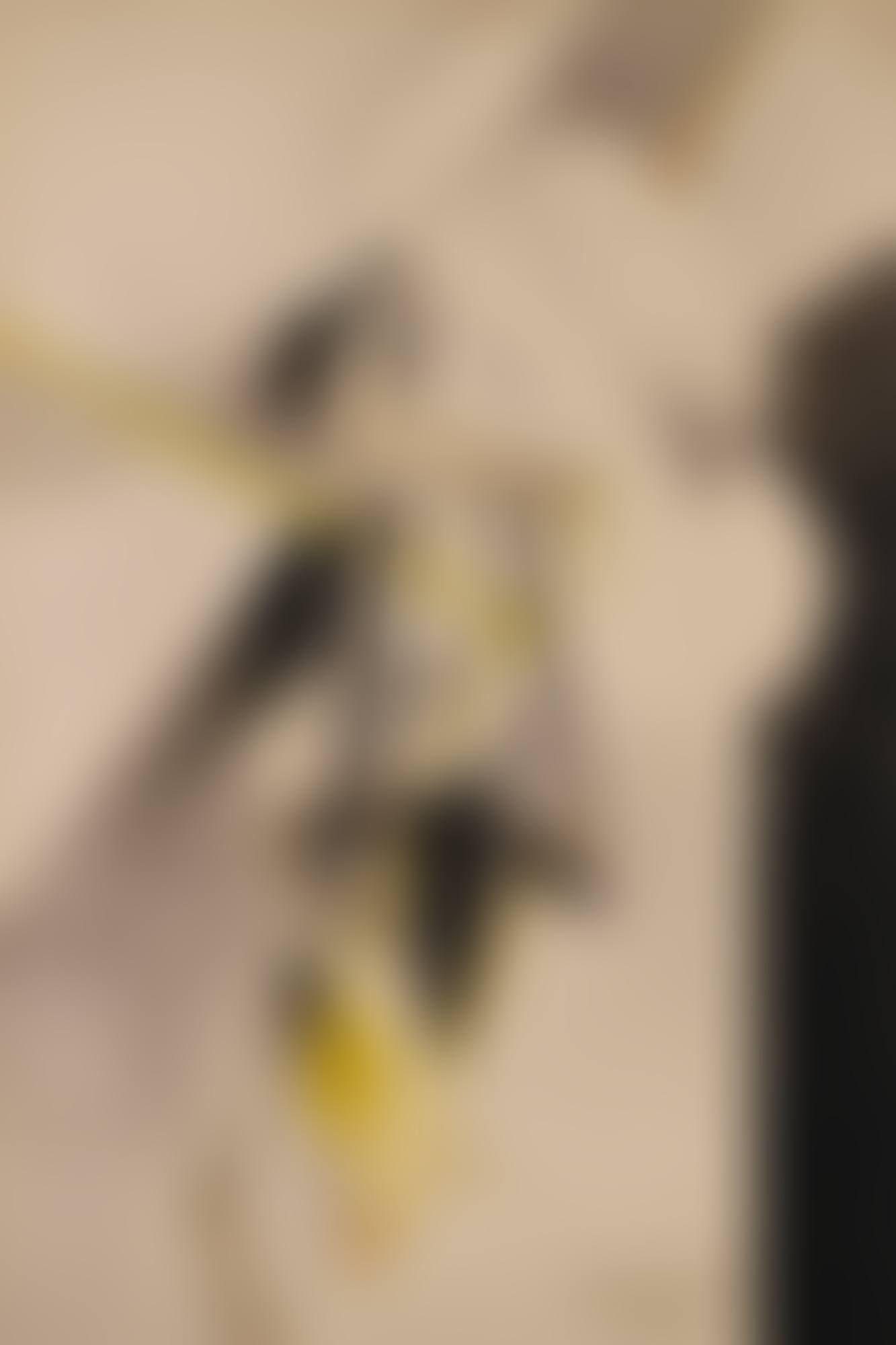 INTERVENTION D'UNE FEMME AU MOYEN D'UNE MACHINE (preview)