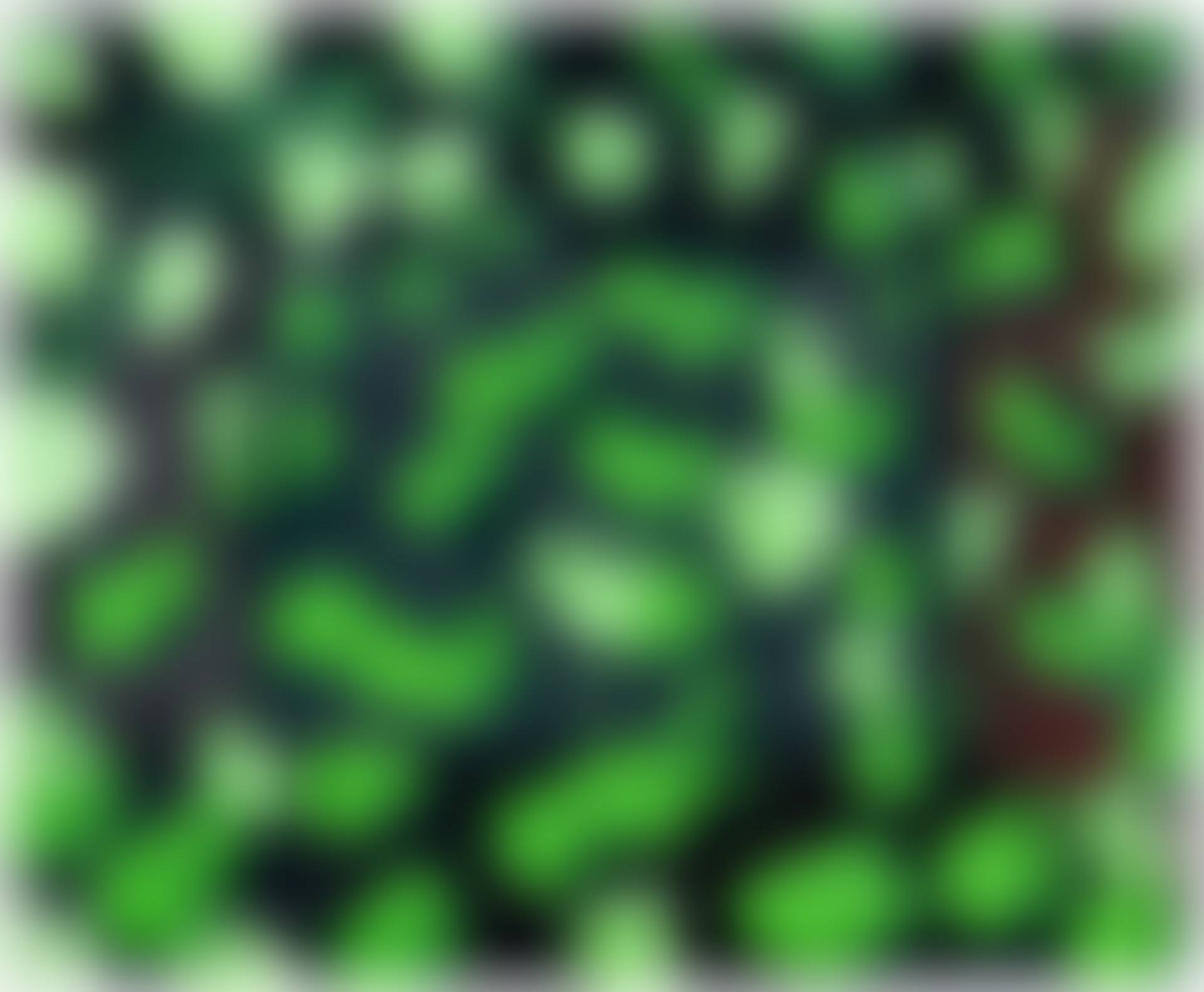 MULTIPLICATION (preview)