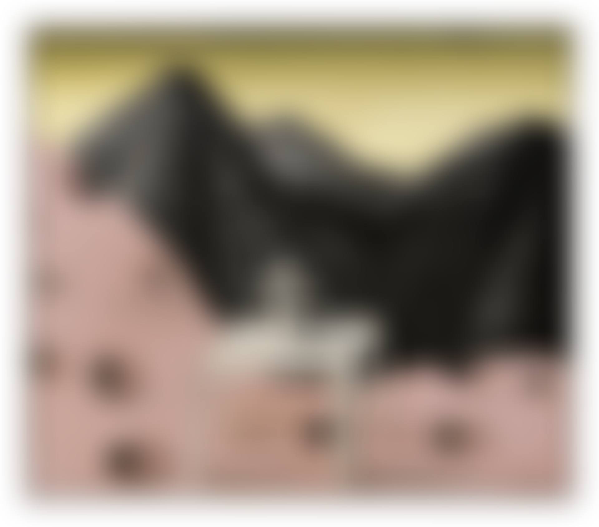 LE TOIT DU MONDE (preview)