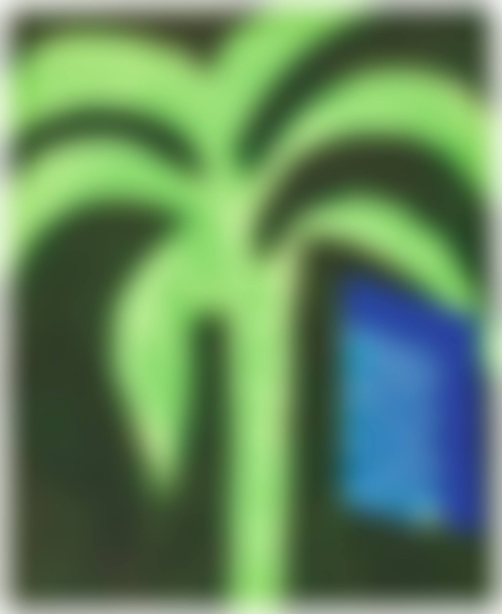 PALM AND WINDOW  (preview)