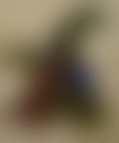 Parrots (preview)