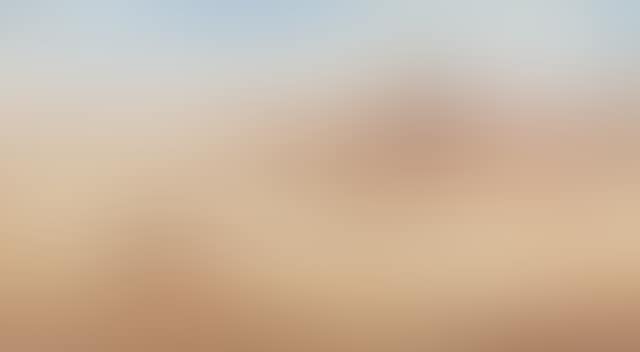 Near Harkaway (preview)