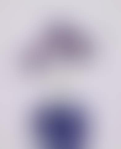 Irises (preview)