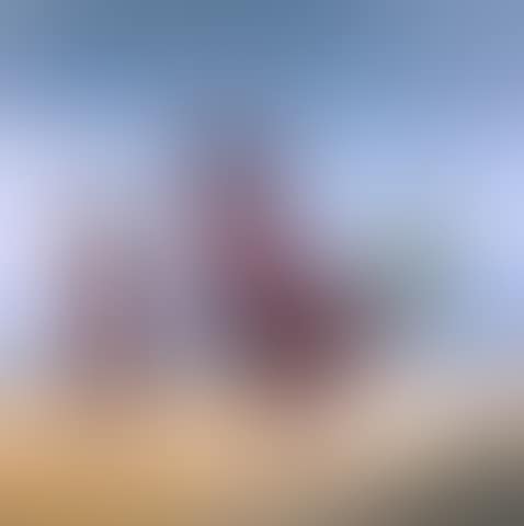 Bird (preview)
