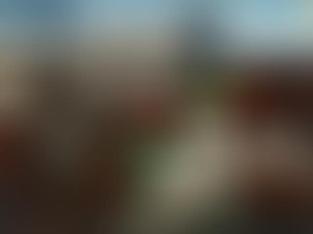 Dogtown (preview)