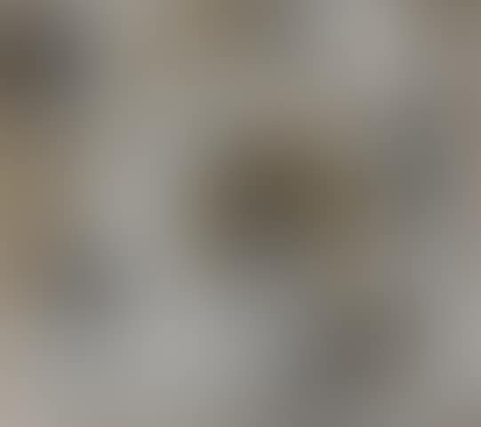 The Pacific Ocean (preview)