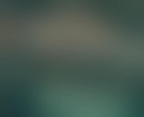 Barques blanches au clair de lune (preview)