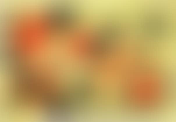 Plankton (preview)