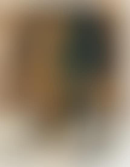 Retrato con Verde, Ocre y Blanco (preview)
