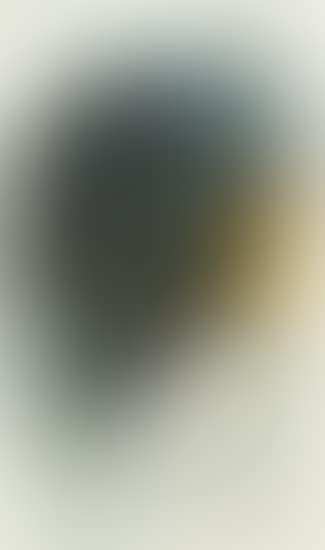 Untitled (preview)