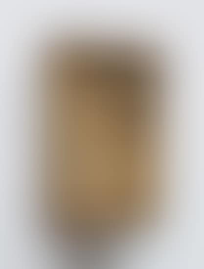 Untitled (preview)
