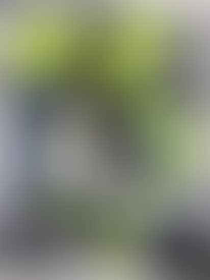 Ich will den Stall ausmisten (preview)