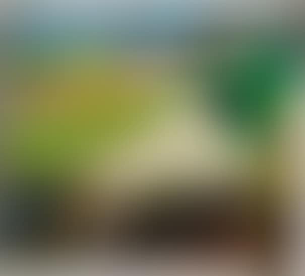 Driveway (preview)