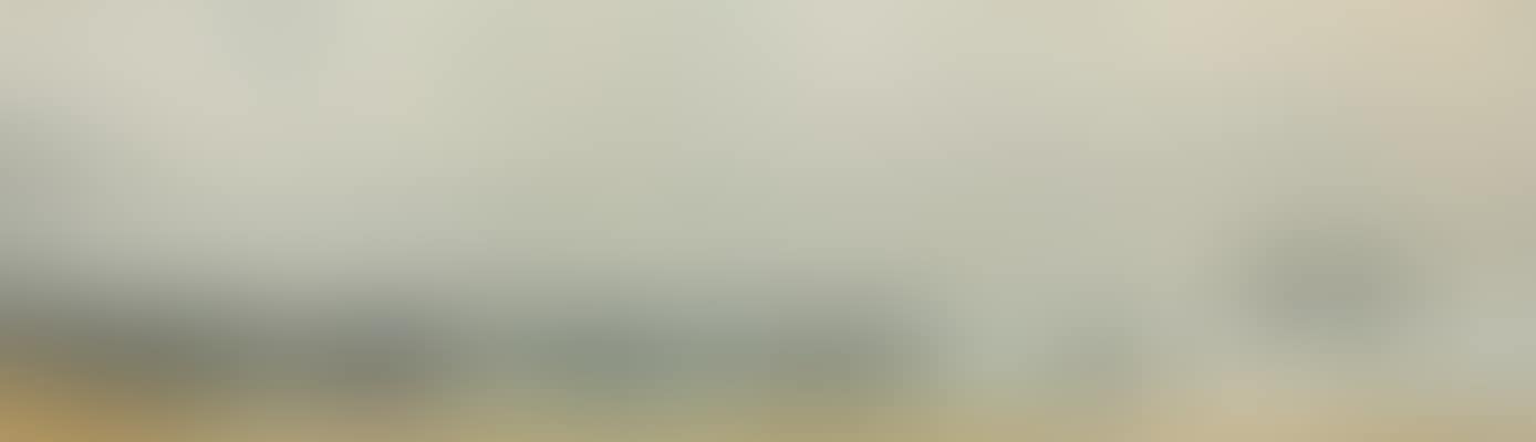 Tynemouth Beach (preview)