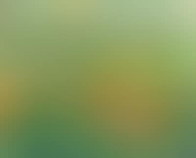 Landscape (preview)
