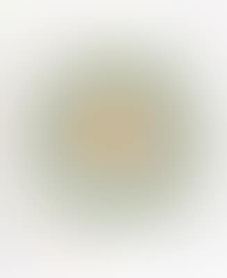 “Twist and Shout” (one sheet from: in a spin, the action of the world on things II) (preview)
