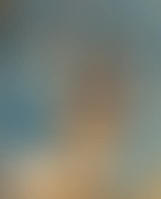 Untitled (preview)