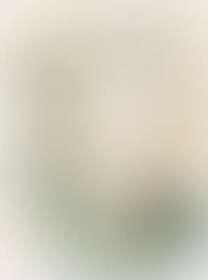 Lichtung (preview)