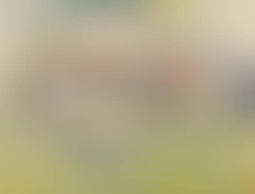 The fair, Norwich (preview)