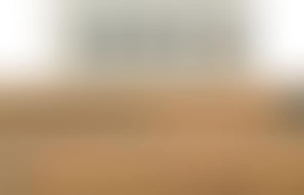 Landscape (preview)