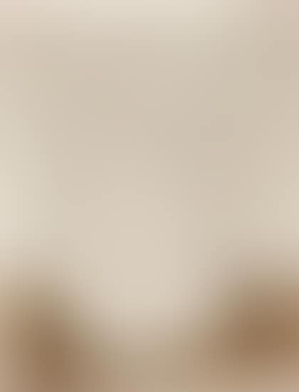 Le Chat Blanc (preview)