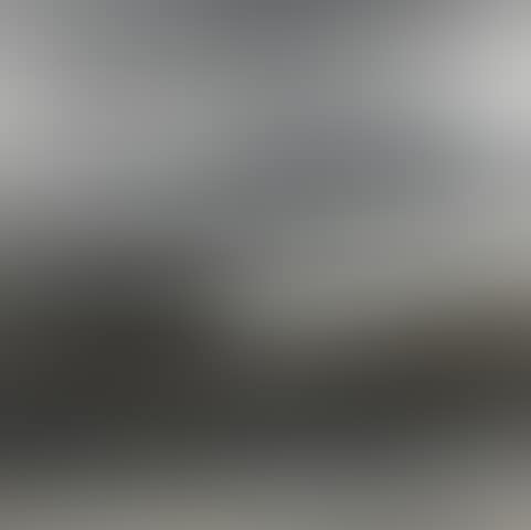 Egrets on Pond (preview)