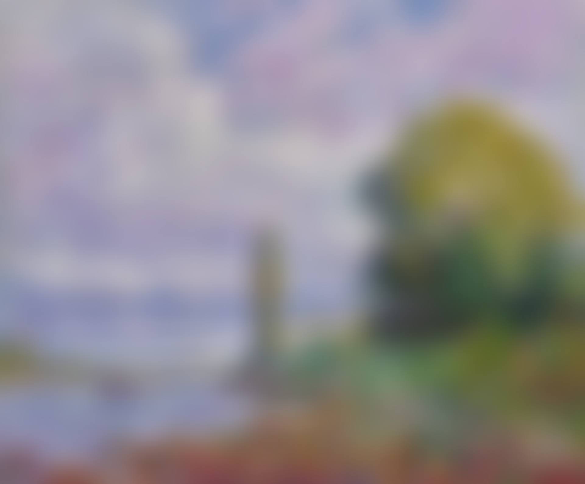 EFFET DE SOLEIL SUR LES BORDS DE LA LOIRE À CANDES (preview)