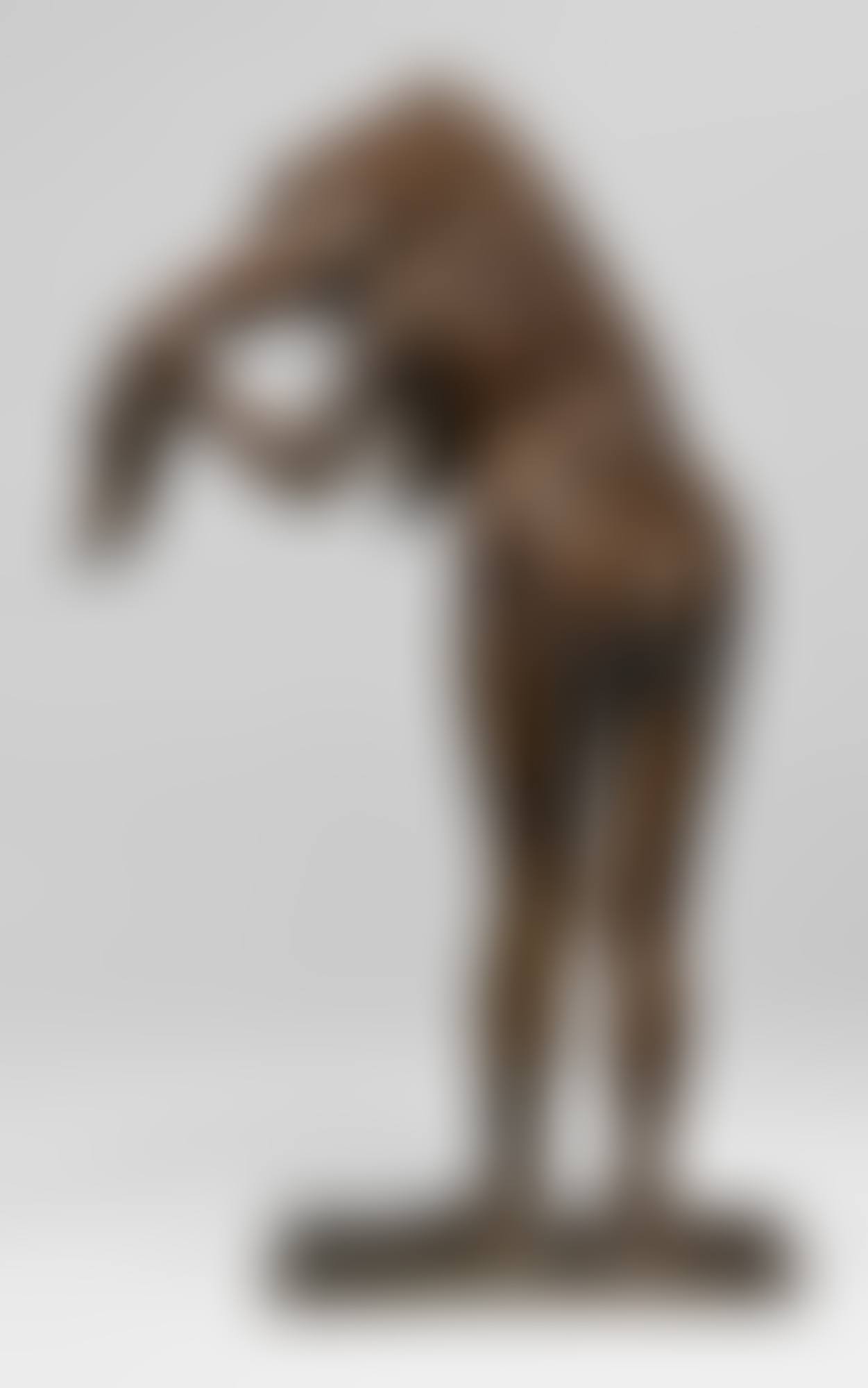 FEMME SE COIFFANT (preview)