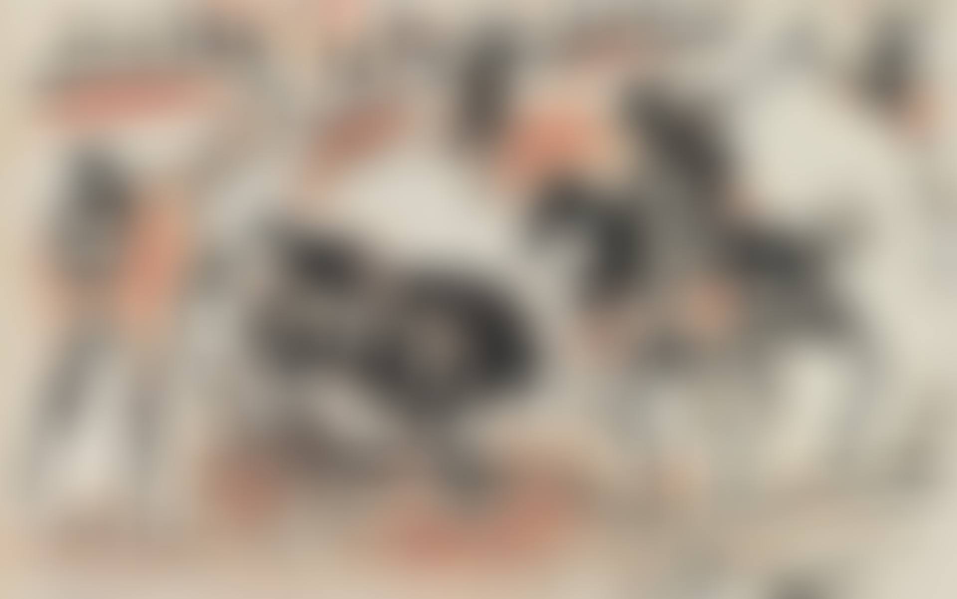 LA CORRIDA (preview)
