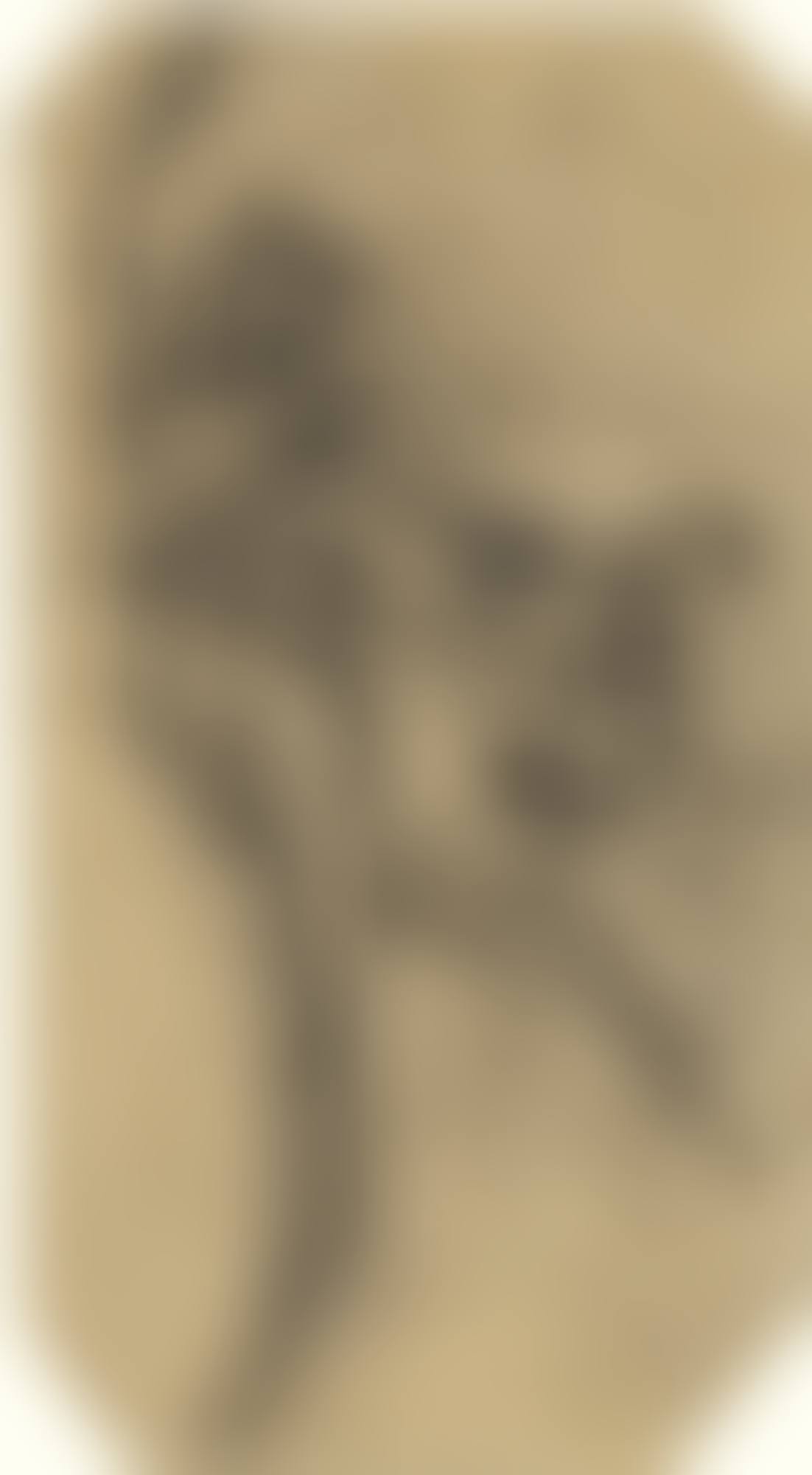 ÉTUDE POUR LA FIGURE FÉMININE DU TABLEAU "SCÈNE AVEC ALLÉGORIE MARINE" (LE VOL, LA TENTATION, L'AMOUR, LES AILES BRISÉE) (I) & ÉTOILE FILANTE ET SIGNATURES (II) (preview)