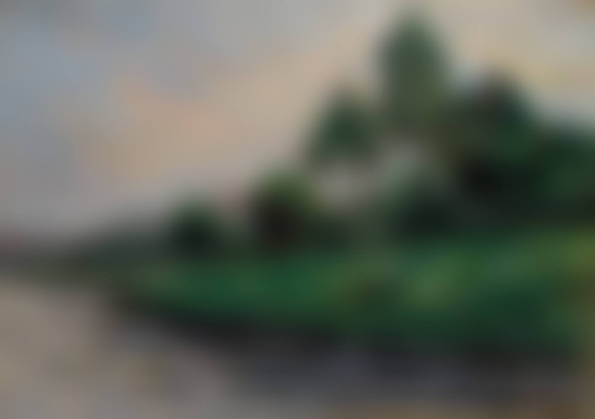 PAYSAGE AUX ENVIRONS DE MANTES (preview)