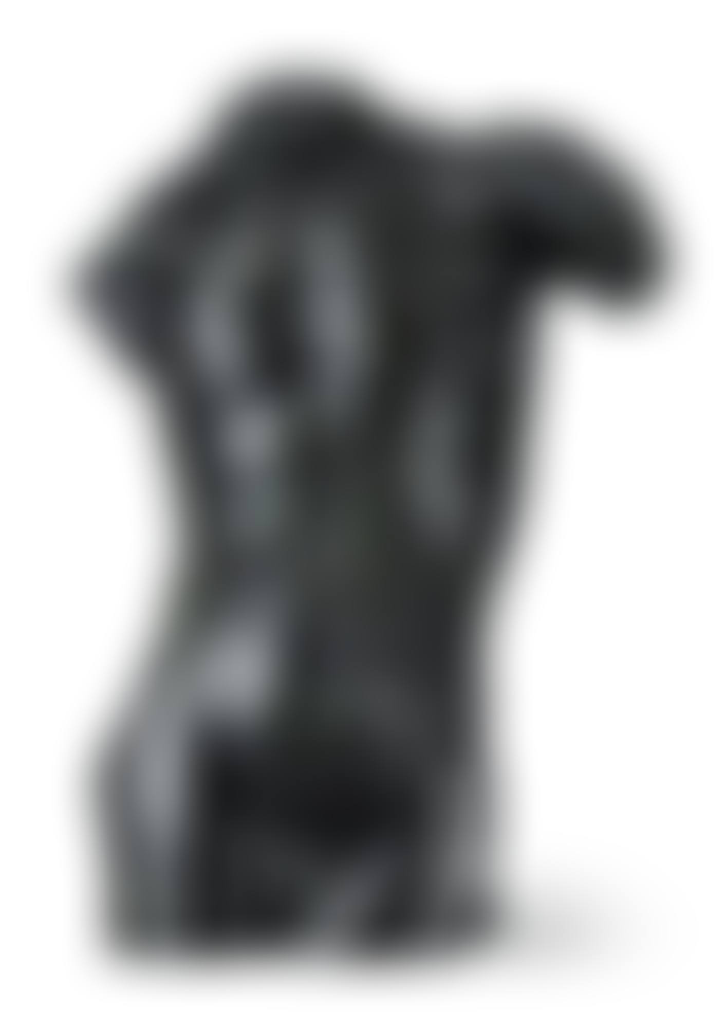 GIGANTI, TORSE MASCULIN, VERSION SANE TERRASSE DIT AUSSI "TORSE D'HOMME NOUVEAU MODÉLE" (preview)
