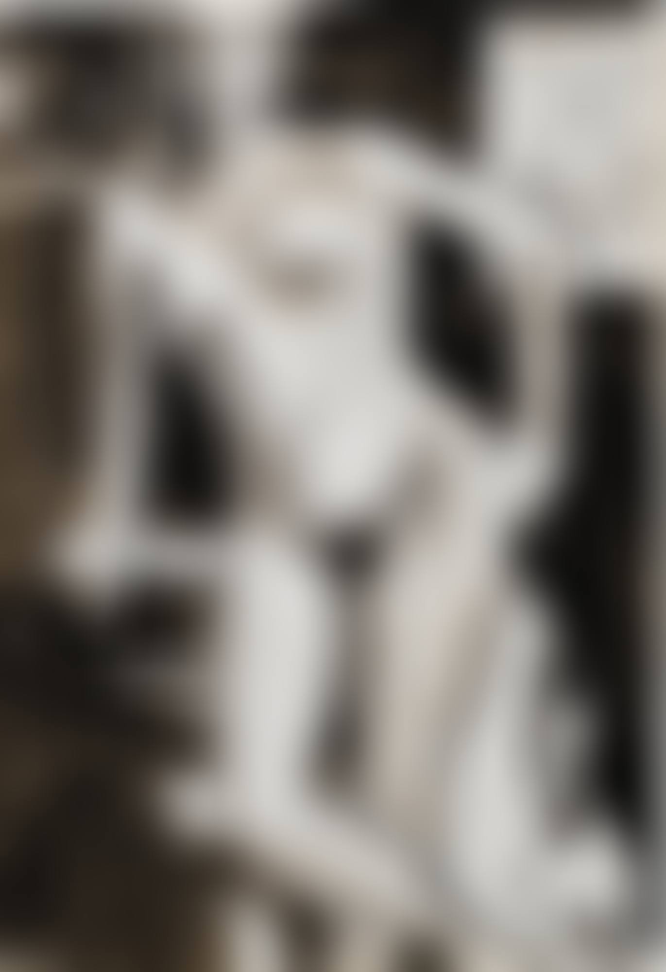 UNTITLED (STANDING NUDE) (preview)