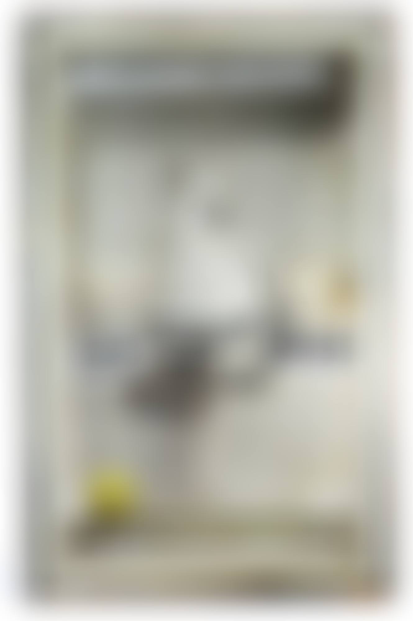 UNTITLED (JUAN GRIS SERIES, LE SOIR) (preview)
