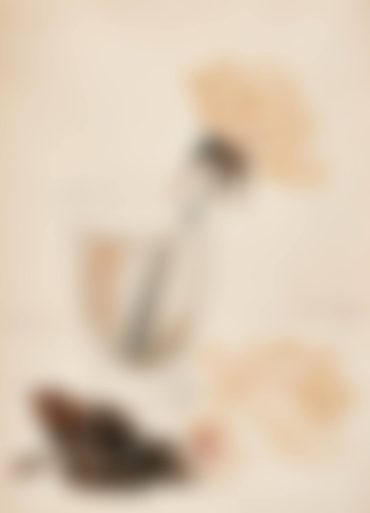 ROSE IN A JAR (preview)