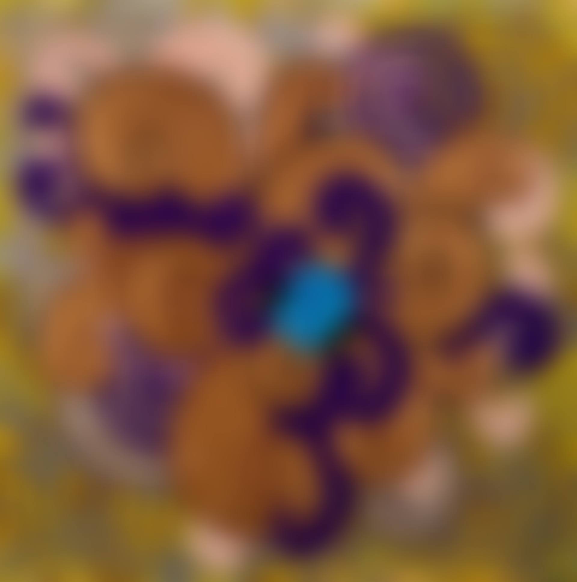 SÃO CINCO (preview)