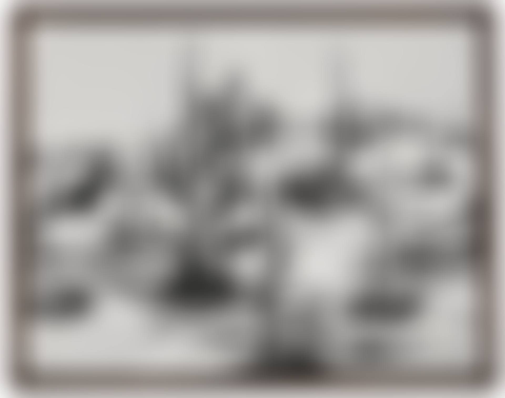 DESERT (preview)